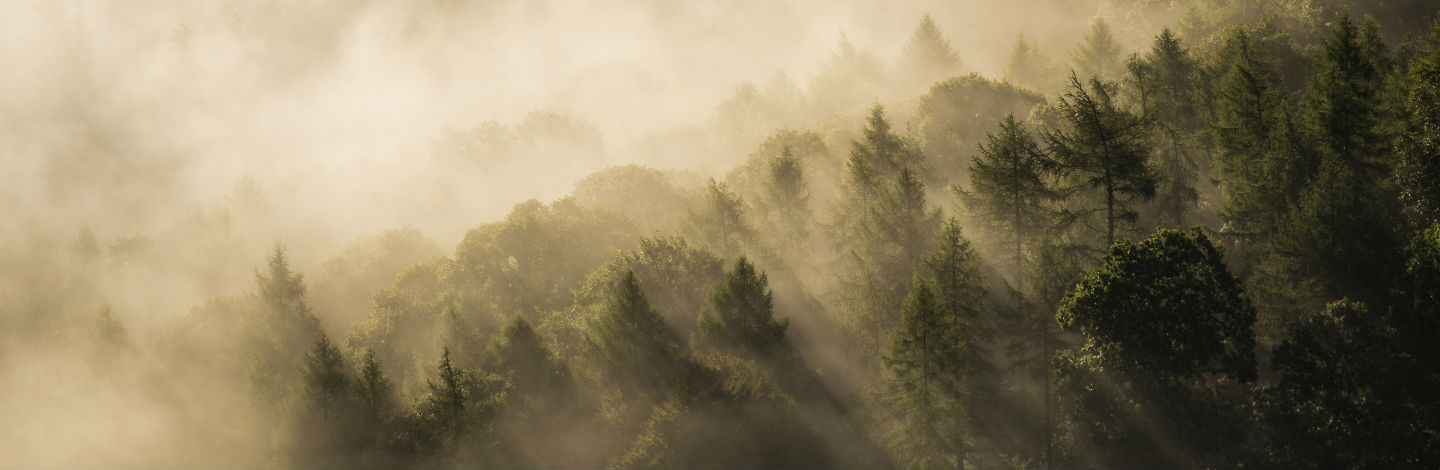 National Park Rangers Share Their Scary Encounters On The Job