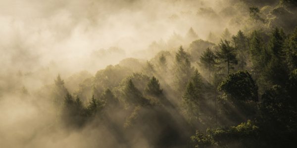 National Park Rangers Share Their Scary Encounters On The Job